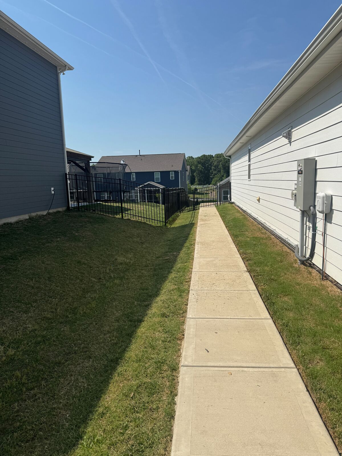Crisp mowed strip along a walkway