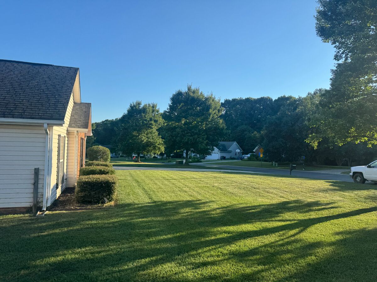 Front yard with trimmed shrubs and clean lawn