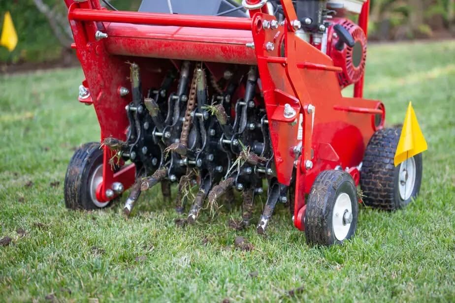 Aeration & Overseeding