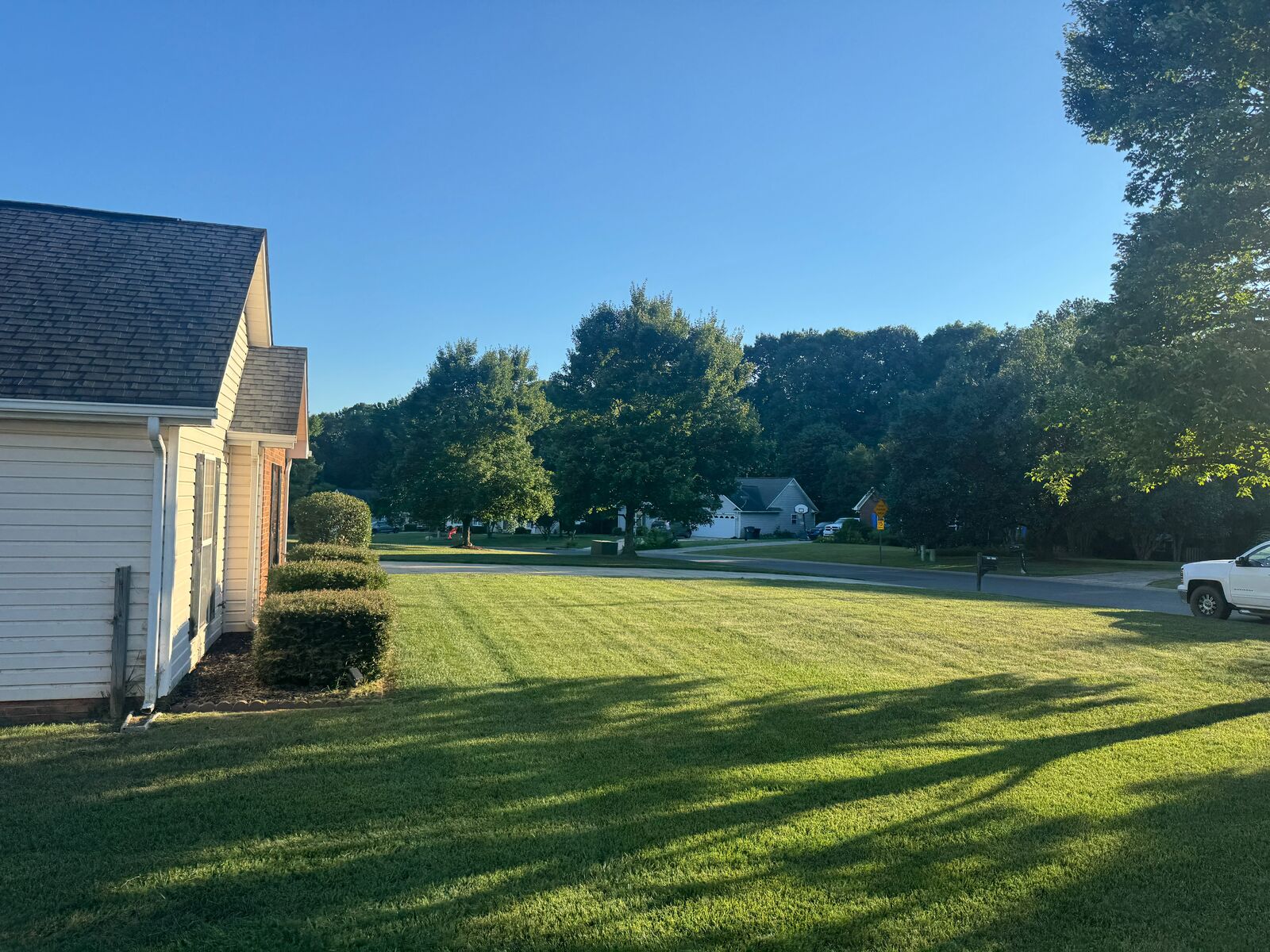 Shrub Trimming