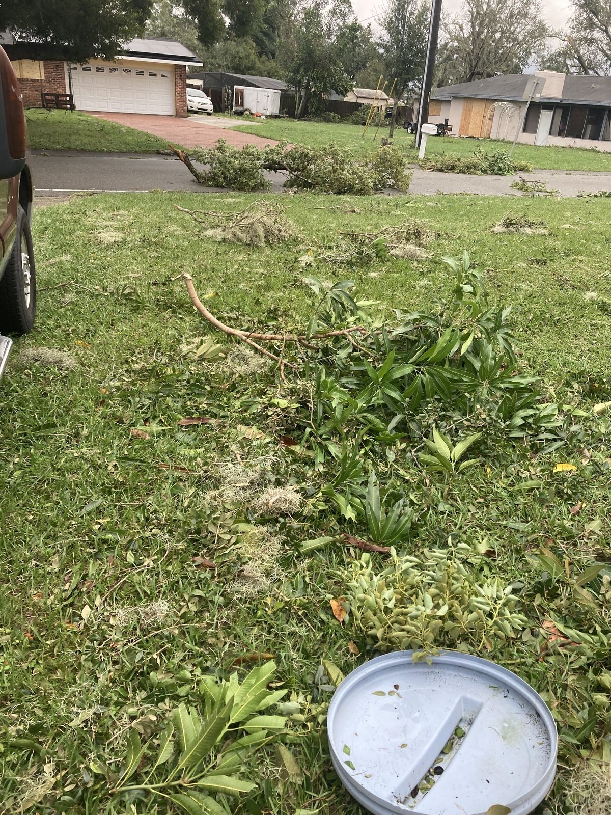Storm Cleanup
