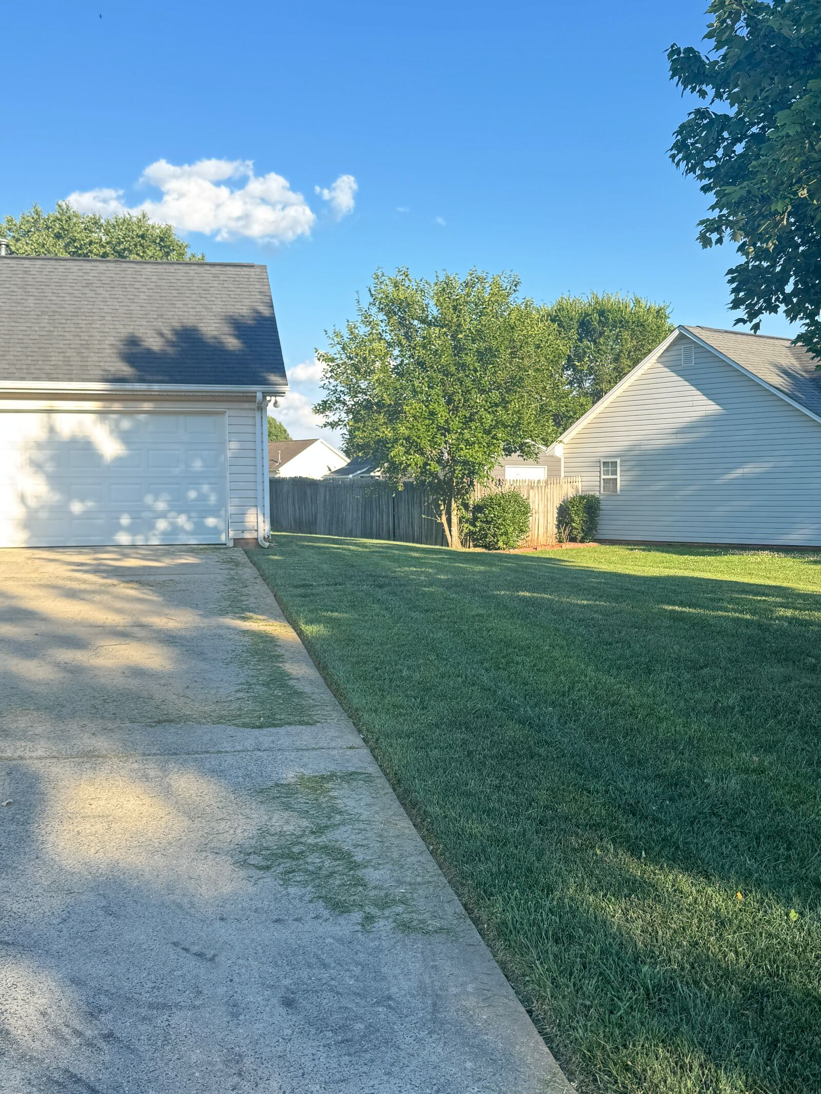 Yard Cleanups